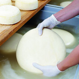  Filtration von Salzlake bei der Käseherstellung